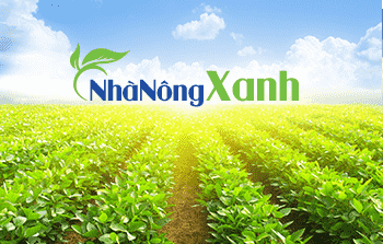 Dịch vụ Nhà nông xanh